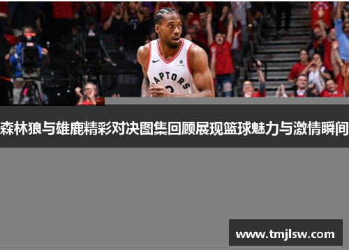 森林狼与雄鹿精彩对决图集回顾展现篮球魅力与激情瞬间
