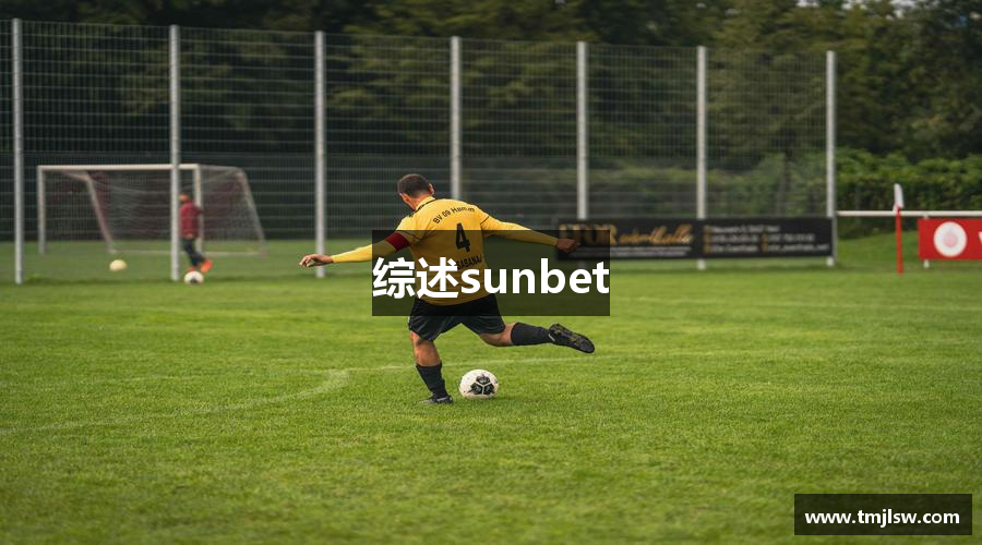 综述sunbet